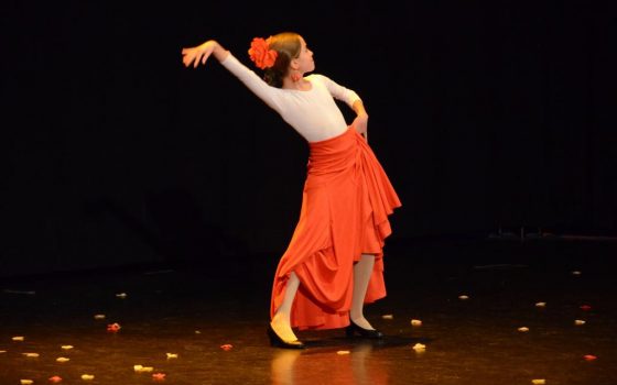 shivadasi escuela danza las tablas flamenco 6