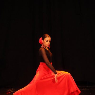 Flamenco y Sevillanas