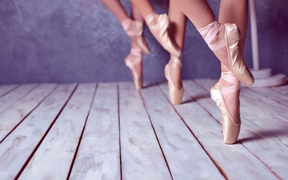shivadasi escuela de danza las tablas ballet 2
