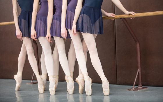 shivadasi escuela de danza las tablas ballet 3