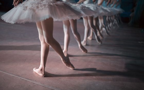 shivadasi escuela de danza las tablas ballet 4