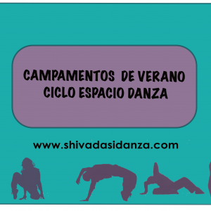Campamentos de Verano